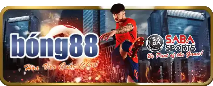 Hoàn trả cược hàng tuần